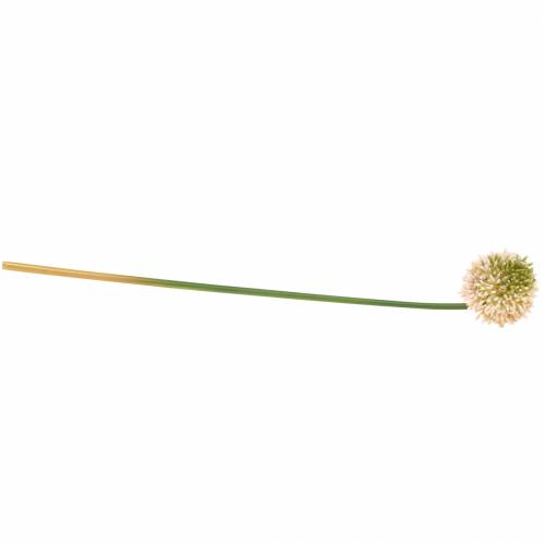 Artikel Sier allium kunstroze / groen Ø8cm 58cm