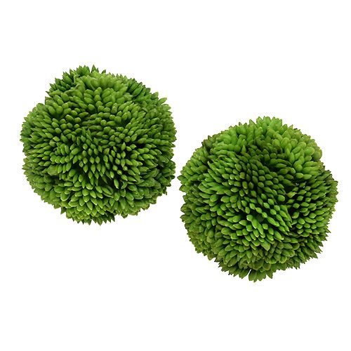 Floristik24 Alliumbal 5cm groen 4st