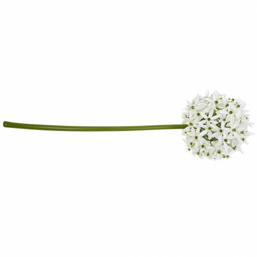 Artikel Sierbloem Allium, kunstbal prei, sierui wit Ø20cm L72cm