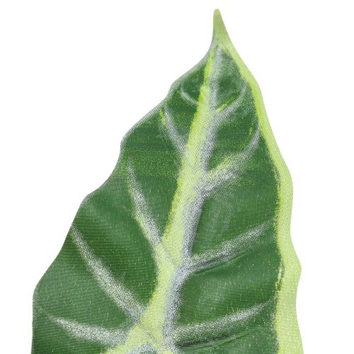 Artikel Alocasia Olifant Oorpijl Blad Kunstplanten Groen 55cm