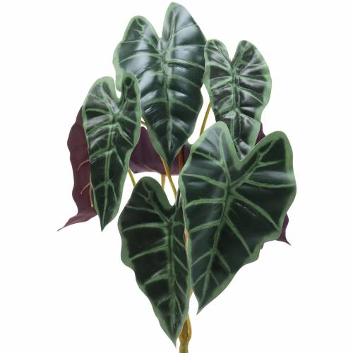 Floristik24 Alocasia arrow bladgroen, violet kunstplant H48cm