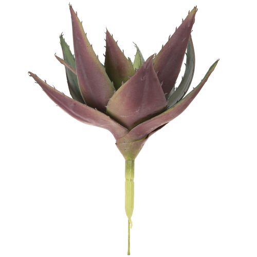 Artikel Aloë Vera Kunstplant Paars Kunst Vetplanten Ø18cm