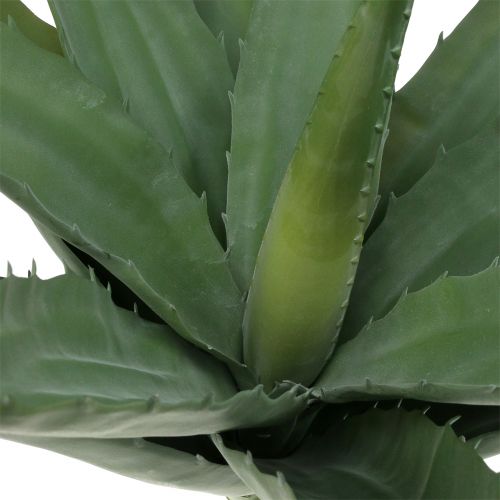 Floristik24 Aloë kunsttak groen 47cm