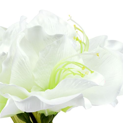Artikel Amaryllis bloem wit L 73cm 2st