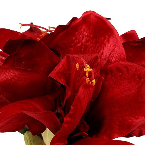 Artikel Amaryllis Rood L 73cm 2st