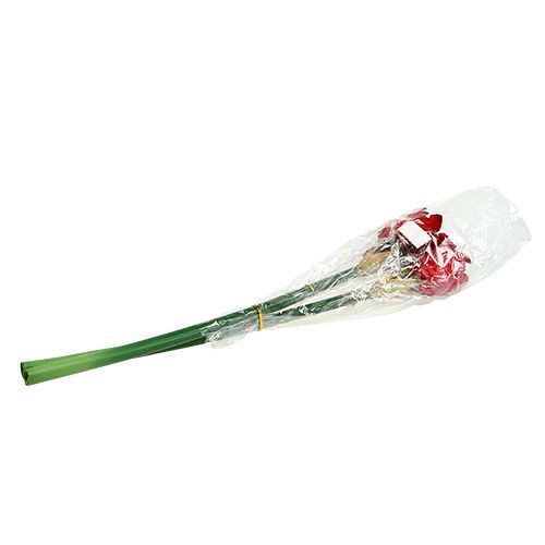 Floristik24 Amaryllis Rood L 73cm 2st