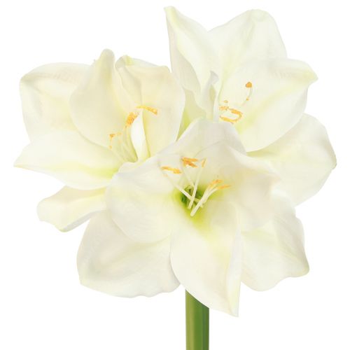 Artikel Amaryllis kerstbloemen kunst L55cm wit 2st