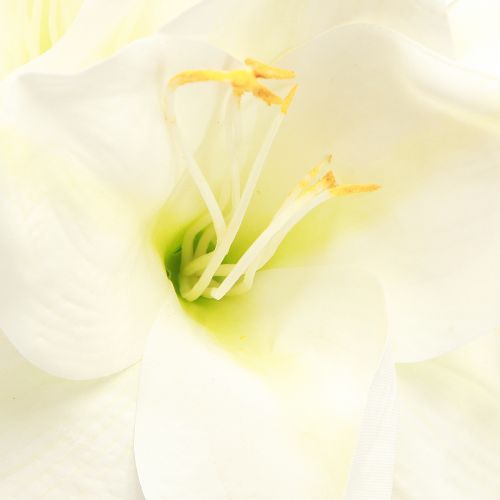 Artikel Amaryllis kerstbloemen kunst L55cm wit 2st