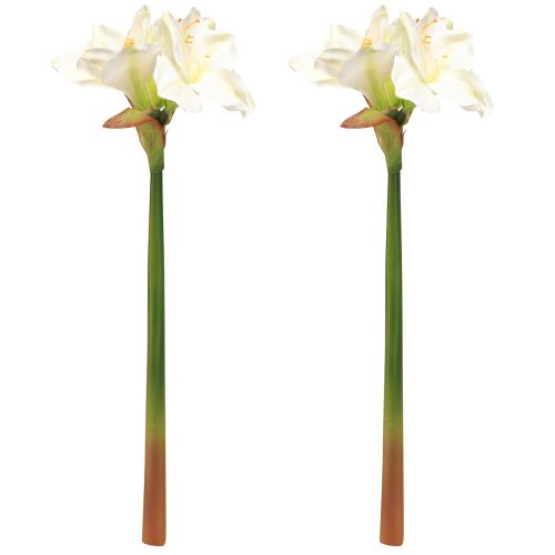 Artikel Amaryllis kerstbloemen kunst L55cm wit 2st