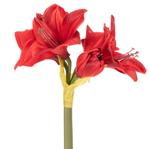Kunstmatige rode amaryllisbloem met steel, bloemversiering voor Kerstmis, 50 cm | Floristik24.nl