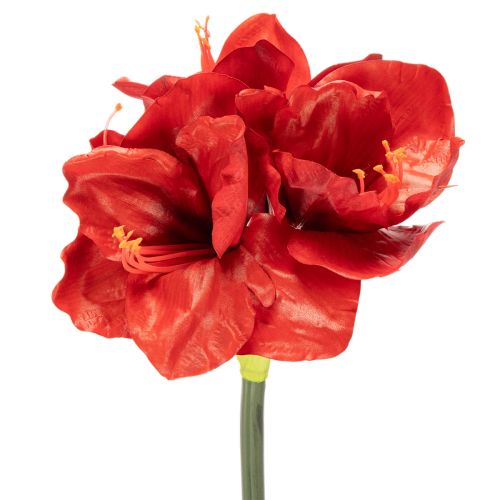 Kunstmatige amaryllisbloem, rood, lange steel, voor vaas en bloemstuk, 77 cm kopen | Floristik24.nl