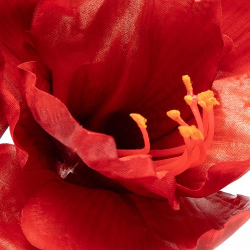Kunstmatige amaryllisbloem, rood, lange steel, voor vaas en bloemstuk, 77 cm | Floristik24.nl
