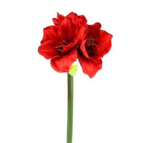 Floristik24 Amaryllis kunst 60cm rood