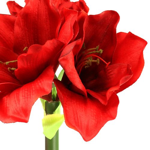 Floristik24 Amaryllis kunst 60cm rood
