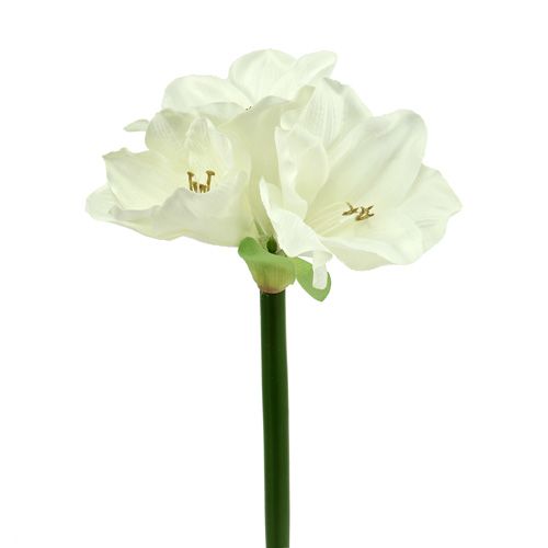 Floristik24 Amaryllis kunstmatig 60cm wit