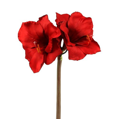 Floristik24 Amaryllis kunst groot rood 96,5cm