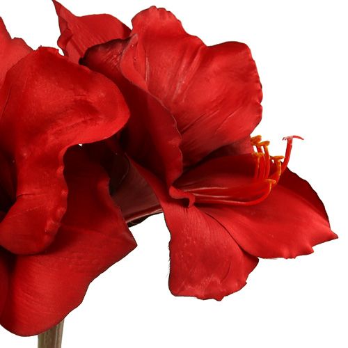 Floristik24 Amaryllis kunst groot rood 96,5cm