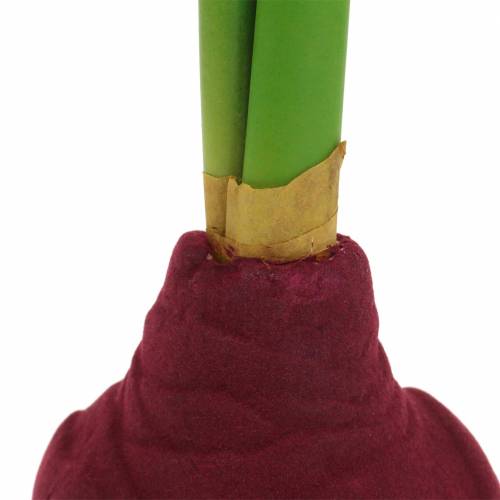 Floristik24 Amaryllis knol met knoppen Kunstmatig 30cm Bordeaux