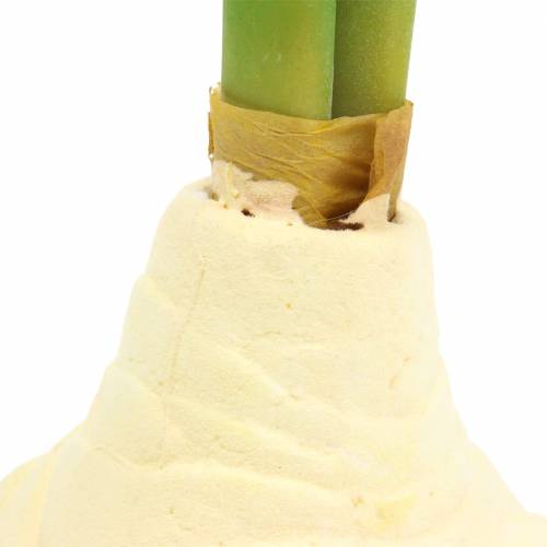 Floristik24 Amaryllis knol met knoppen Kunstwit H30cm