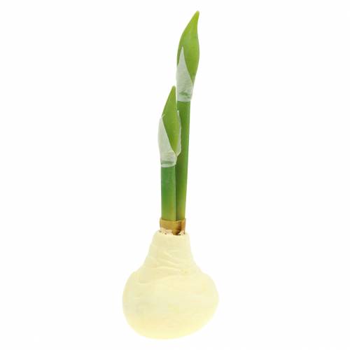 Floristik24 Amaryllis knol met knoppen Kunstwit H30cm