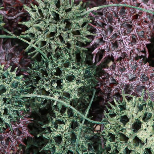 Artikel Amberboomkegels decoratie groene bes mat natuurlijke decoratie 500g
