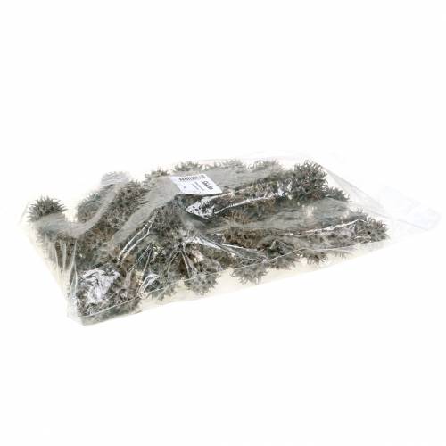 Artikel Sweetgum kegels natuur gewassen wit 250g