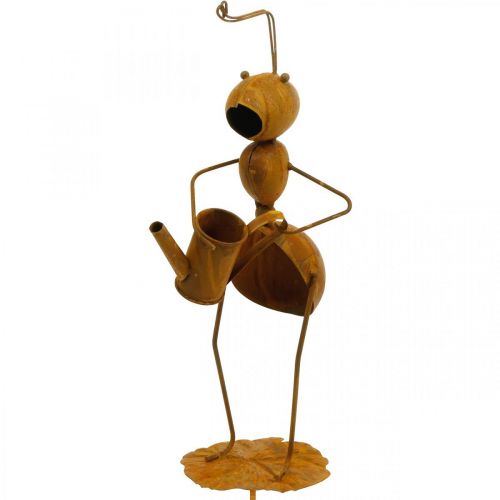 Floristik24 Decoratieve plug mier, beddecoratie, mier met gieter, bloemplug patina