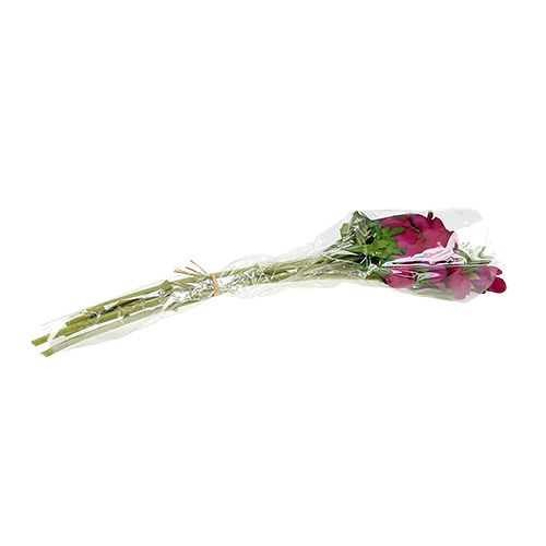 Floristik24 Kunstanemoon Fuchsia 6st
