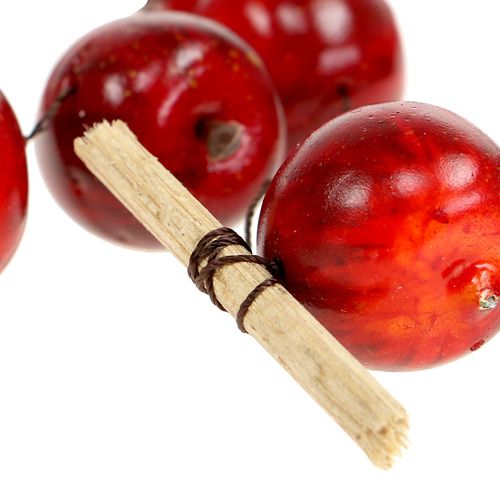 Floristik24 Appelslinger rood L 110cm
