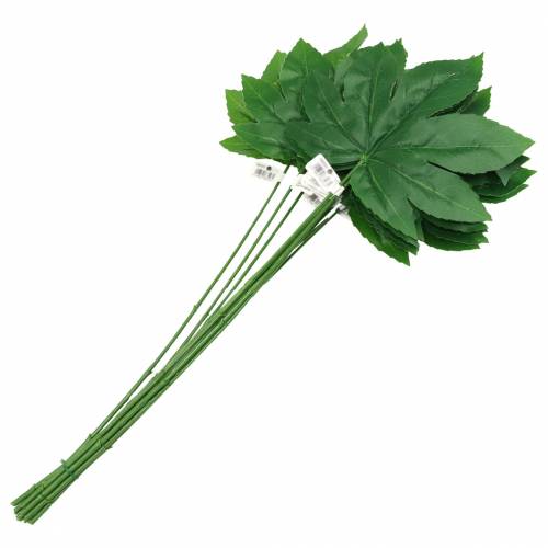 Artikel Aralia blad met steel groen L61.5cm 12st