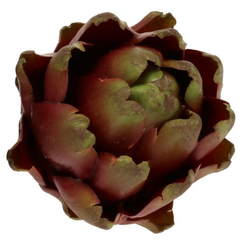 Floristik24 Artisjok bruin, groen Ø10cm H11cm