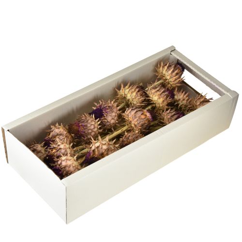 Artikel Artisjokbloesem gedroogde artisjok Cynara Ø9cm 16 stuks