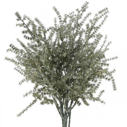 Floristik24 Asperge deco tak white wash kunst 45cm 6st