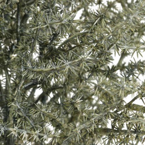 Floristik24 Lariks decoratieve tak white washed kunst 45cm 6st