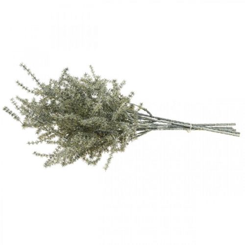 Floristik24 Lariks decoratieve tak white washed kunst 45cm 6st