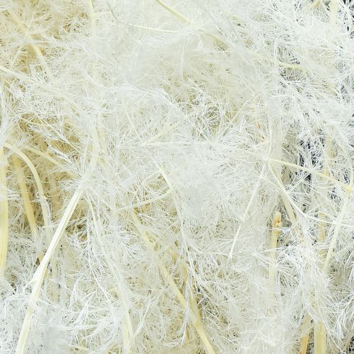 Artikel Asperge Gedroogde Grassen Sierasperge Crème 90cm 5 stuks