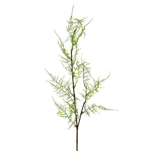 Aspergetak 75cm groen 3st
