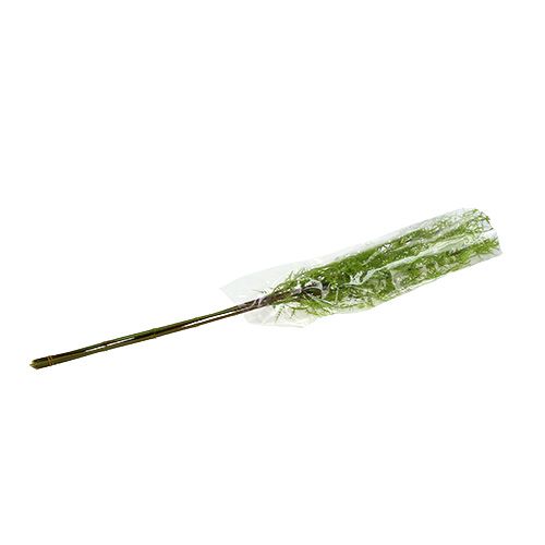 Floristik24 Aspergetak 75cm groen 3st