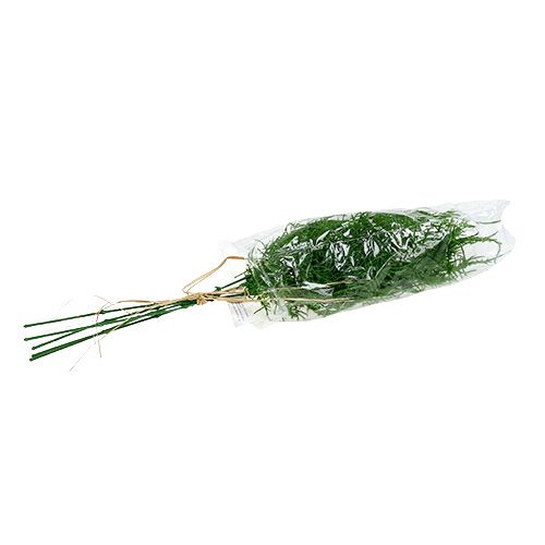 Artikel Aspergetak 50cm groen 5st