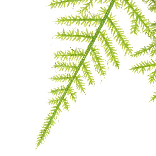 Artikel Kunstmatige asperges als hangplant voor een onderhoudsarme huisdecoratie, 75 cm