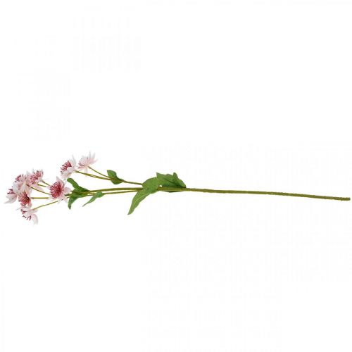 Artikel Grote Masterwort Kunstmatige Astrania Zijde Bloem Wit Roze L61cm