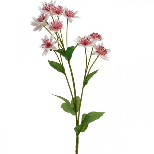 Floristik24 Grote Masterwort Kunstmatige Astrania Zijde Bloem Wit Roze L61cm