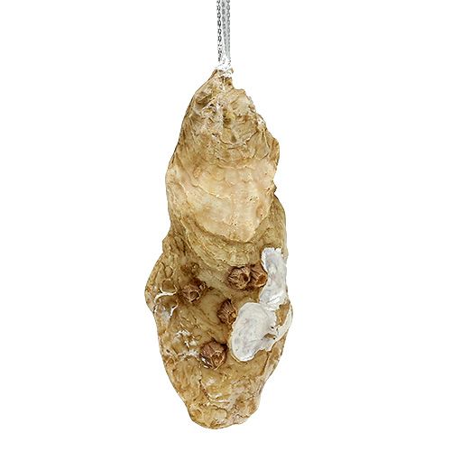 Floristik24 Oester met parel en mica om op te hangen 10,5 cm