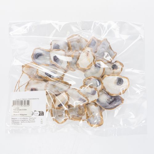 Artikel Decoratie met oesterschelpen, maritiem woonaccessoire, natuurlijke wanddecoratie, 12 cm
