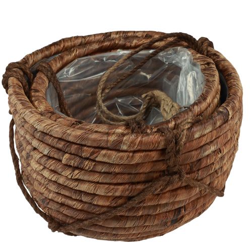Artikel Mand voor het ophangen van waterhyacint bruin 25/31cm set van 2
