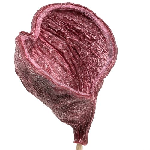 Artikel Badam op stokje rood, witgekalkt 25 stuks