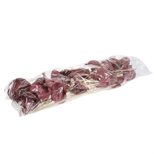 Artikel Badam op stokje rood, witgekalkt 25 stuks