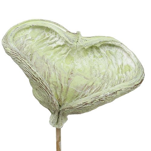Artikel Badam op stokje naturel decoratie groen white washed 25 stuks