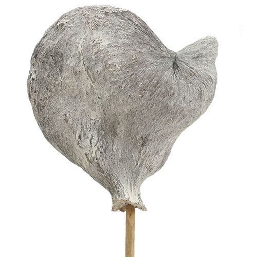 Artikel Badam op stok witgekalkt 12cm L55cm 23 st