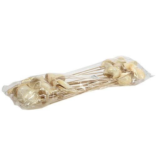 Floristik24 Badam op stok gebleekt 6cm - 12cm L55cm 23 st